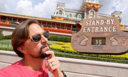 Tracker Tips: Why You Should Go To Magic Kingdom During The Day On A Party Night