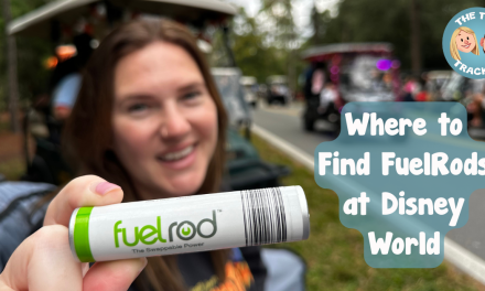TRACKER TIPS: Where to Find FuelRod Kiosks at Disney World